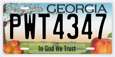 GA license plate PWT4347