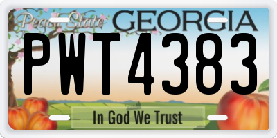 GA license plate PWT4383