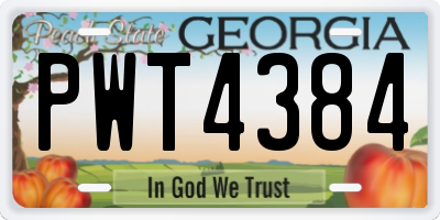 GA license plate PWT4384