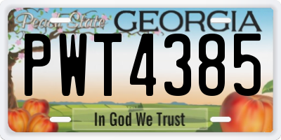 GA license plate PWT4385