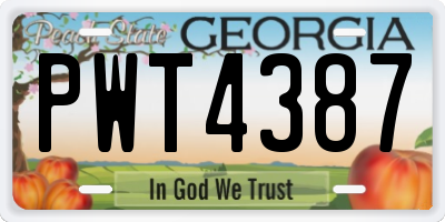 GA license plate PWT4387