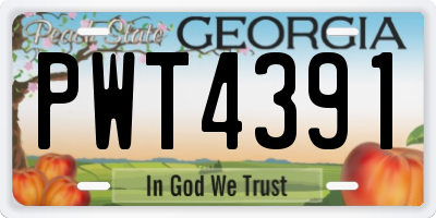 GA license plate PWT4391