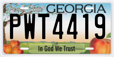GA license plate PWT4419