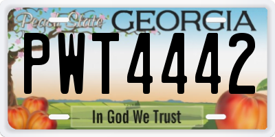 GA license plate PWT4442