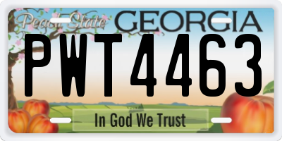 GA license plate PWT4463