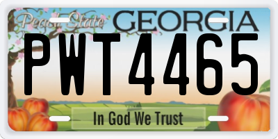 GA license plate PWT4465