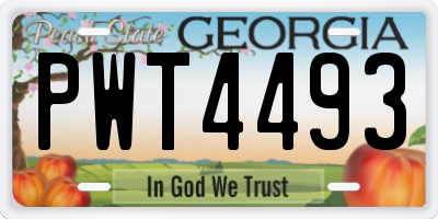 GA license plate PWT4493