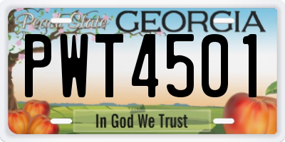 GA license plate PWT4501