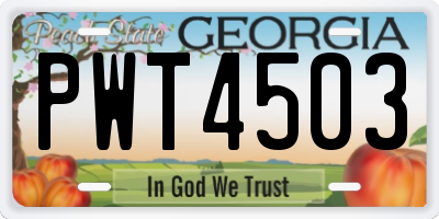 GA license plate PWT4503