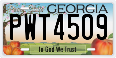 GA license plate PWT4509