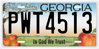 GA license plate PWT4513