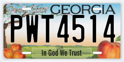 GA license plate PWT4514