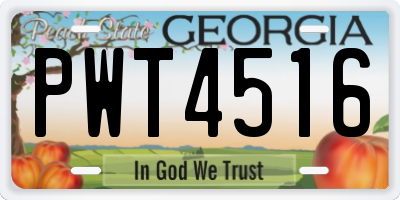 GA license plate PWT4516