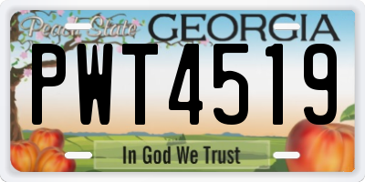GA license plate PWT4519