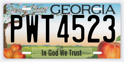 GA license plate PWT4523