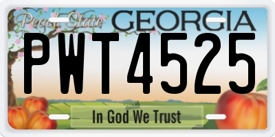 GA license plate PWT4525