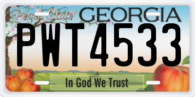 GA license plate PWT4533