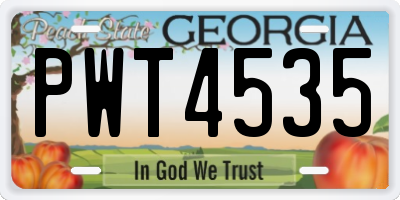 GA license plate PWT4535
