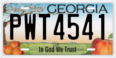 GA license plate PWT4541