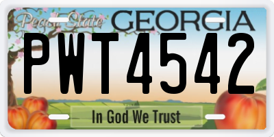 GA license plate PWT4542