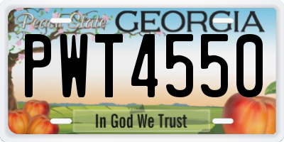GA license plate PWT4550
