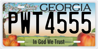 GA license plate PWT4555