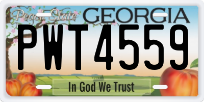 GA license plate PWT4559