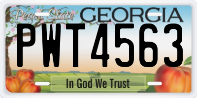 GA license plate PWT4563