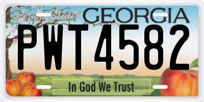 GA license plate PWT4582