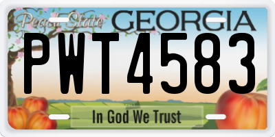 GA license plate PWT4583