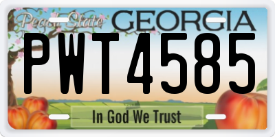 GA license plate PWT4585