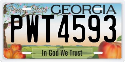 GA license plate PWT4593