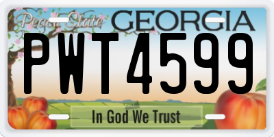 GA license plate PWT4599