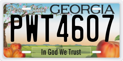 GA license plate PWT4607