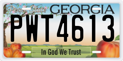 GA license plate PWT4613
