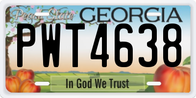 GA license plate PWT4638