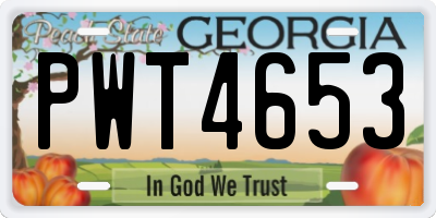 GA license plate PWT4653