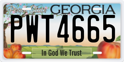 GA license plate PWT4665