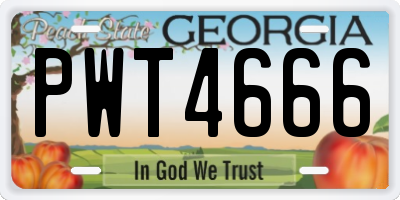 GA license plate PWT4666