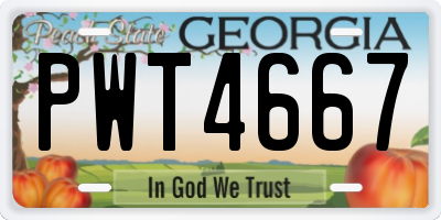 GA license plate PWT4667