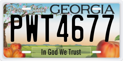 GA license plate PWT4677