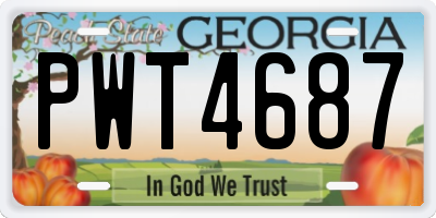 GA license plate PWT4687