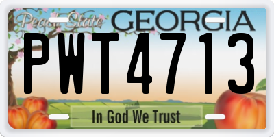 GA license plate PWT4713