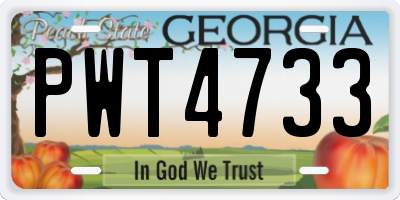 GA license plate PWT4733