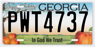 GA license plate PWT4737