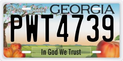 GA license plate PWT4739