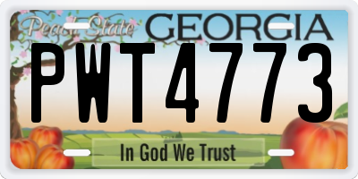 GA license plate PWT4773