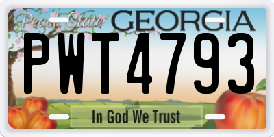GA license plate PWT4793