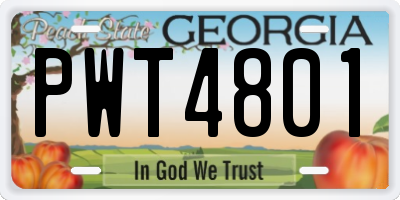 GA license plate PWT4801