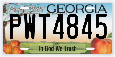 GA license plate PWT4845